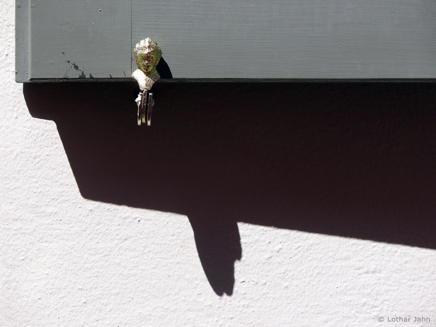 Fensterladen an Schillers Wohnhaus in Jena